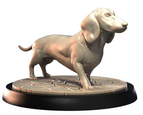 Dachshund - Dogs Vol 1 - 3D IP Studios - Terrain Wargaming D&D DnD 28mm 32mm 40mm 54mm 75mm 100mm 125mm