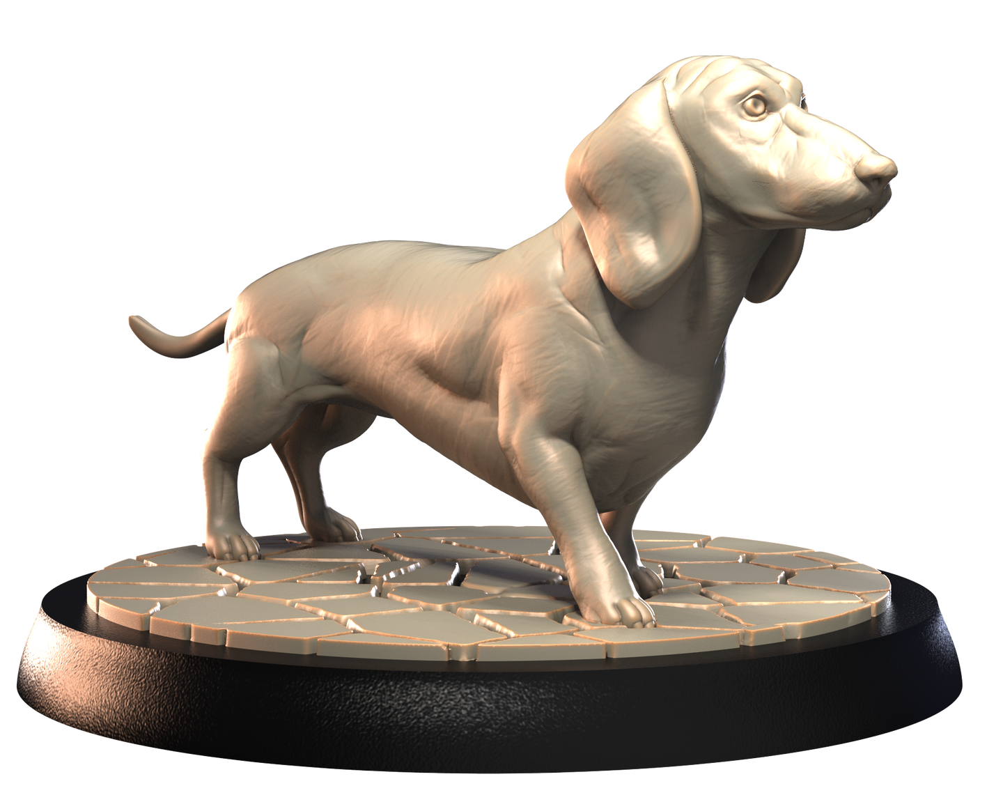 Dachshund - Dogs Vol 1 - 3D IP Studios - Terrain Wargaming D&D DnD 28mm 32mm 40mm 54mm 75mm 100mm 125mm