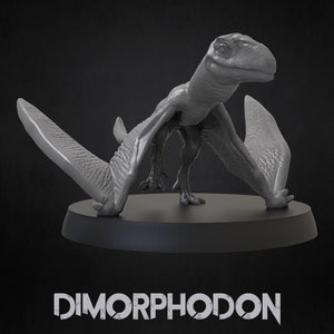 Dimorphodon - Dinosaurs Set 3 - 3D IP Studios - Terrain Wargaming D&D DnD 28mm 32mm 40mm 54mm 75mm 100mm 125mm