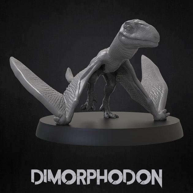 Dimorphodon - Dinosaurs Set 3 - 3D IP Studios - Terrain Wargaming D&D DnD 28mm 32mm 40mm 54mm 75mm 100mm 125mm