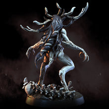 Load image into Gallery viewer, Kikimora | Dark Forest