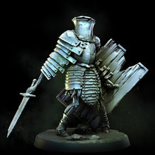 Load image into Gallery viewer, Mouldering Protectors | Deadmire