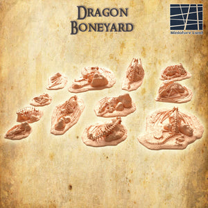 Dragon Bone Graveyard - Miniatureland Terrain Wargaming D&D DnD