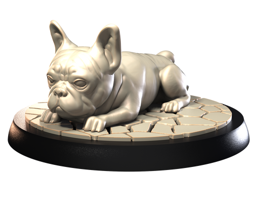 French Bull Dog - Dogs Vol 1 - 3D IP Studios - Terrain Wargaming D&D DnD 28mm 32mm 40mm 54mm 75mm 100mm 125mm