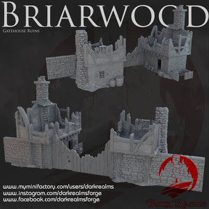 Gatehouse Ruins - Briarwood - Dark Realms Terrain Wargaming D&D DnD