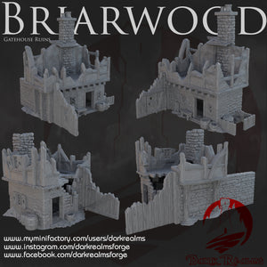Gatehouse Ruins - Briarwood - Dark Realms Terrain Wargaming D&D DnD