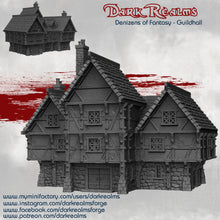 Load image into Gallery viewer, Guildhall  - Denizens Of Fantasy - Dark Realms Terrain Wargaming D&amp;D DnD