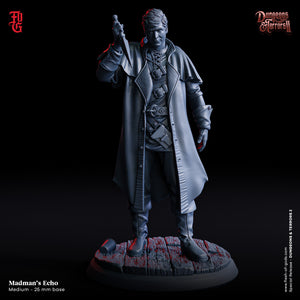 Madman's Echo - Dungeons and Terrors - Flesh of the Gods - Wargaming D&D DnD
