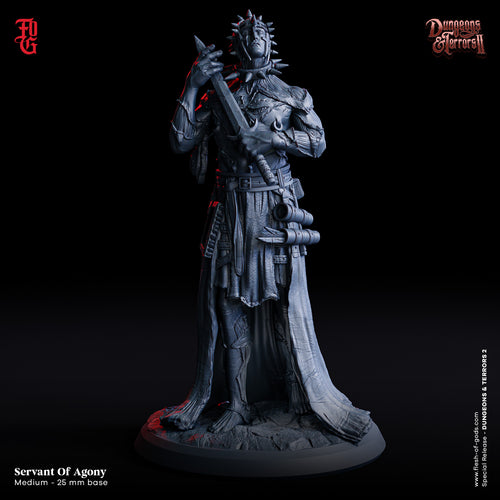 Servant Of Agony - Dungeons and Terrors - Flesh of the Gods - Wargaming D&D DnD