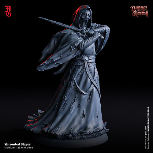 Shrouded Slayer - Dungeons and Terrors - Flesh of the Gods - Wargaming D&D DnD