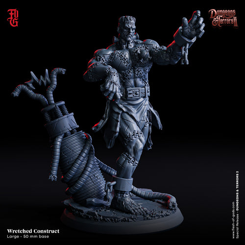 Wretched Construct - Dungeons and Terrors - Flesh of the Gods - Wargaming D&D DnD