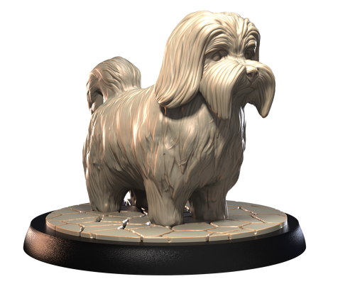 Havanese - Dogs Vol 1 - 3D IP Studios - Terrain Wargaming D&D DnD 28mm 32mm 40mm 54mm 75mm 100mm 125mm