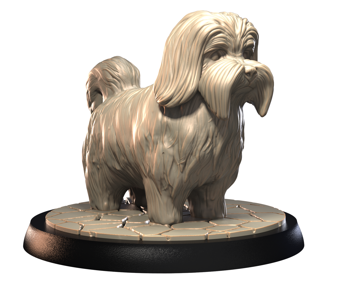 Havanese - Dogs Vol 1 - 3D IP Studios - Terrain Wargaming D&D DnD 28mm 32mm 40mm 54mm 75mm 100mm 125mm