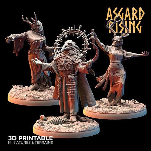 Hofgothi and Priestesses of the Raven Clan - Asgard Rising - Wargaming D&D DnD