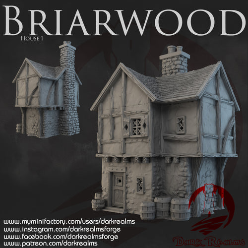House 1 - Briarwood - Dark Realms Terrain Wargaming D&D DnD