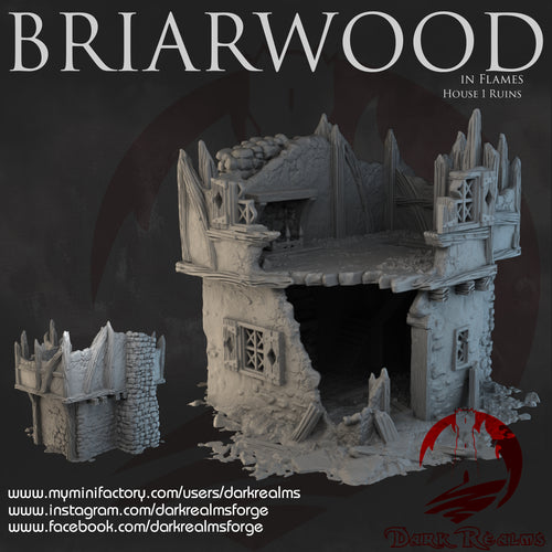 House 1 Ruins - Briarwood - Dark Realms Terrain Wargaming D&D DnD