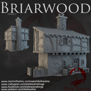 House 2 - Briarwood - Dark Realms Terrain Wargaming D&D DnD