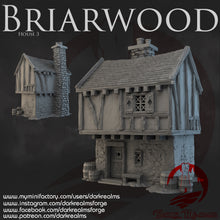 Load image into Gallery viewer, House 3 - Briarwood - Dark Realms Terrain Wargaming D&amp;D DnD