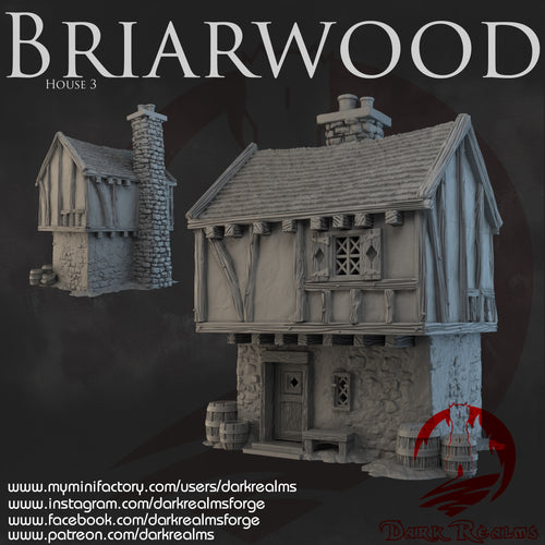 House 3 - Briarwood - Dark Realms Terrain Wargaming D&D DnD