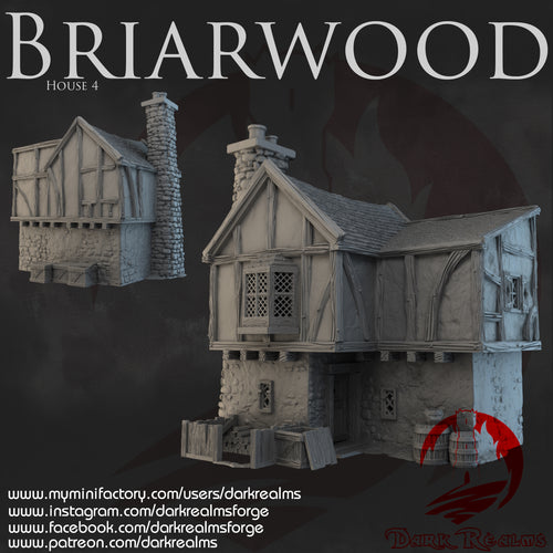 House 4 - Briarwood - Dark Realms Terrain Wargaming D&D DnD