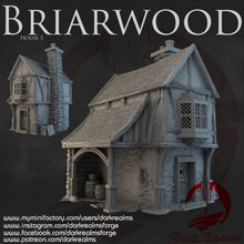 Load image into Gallery viewer, House 5 - Briarwood - Dark Realms Terrain Wargaming D&amp;D DnD