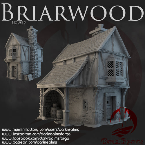 House 5 - Briarwood - Dark Realms Terrain Wargaming D&D DnD