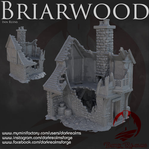 House 5 Ruin - Briarwood - Dark Realms Terrain Wargaming D&D DnD