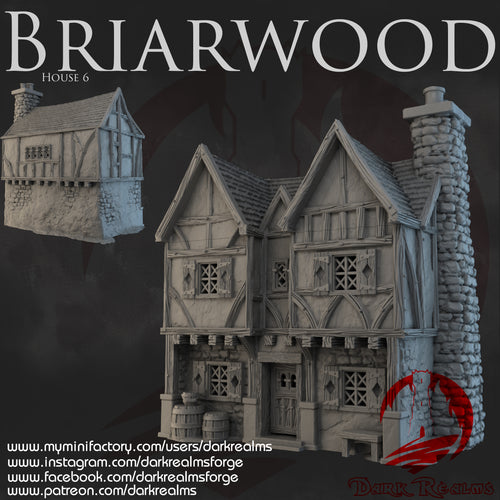 House 6 - Briarwood - Dark Realms Terrain Wargaming D&D DnD