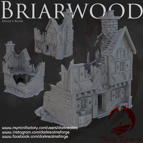 House 6 Ruin - Briarwood - Dark Realms Terrain Wargaming D&D DnD