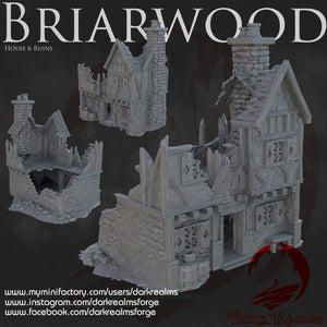 House 6 Ruin - Briarwood - Dark Realms Terrain Wargaming D&D DnD