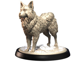 Icelandic Sheepdog - Dogs Vol 1 - 3D IP Studios - Terrain Wargaming D&D DnD 28mm 32mm 40mm 54mm 75mm 100mm 125mm