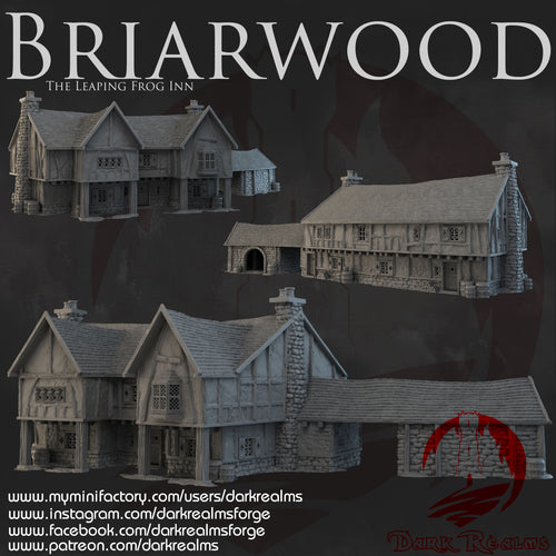 Leaping Frog Inn - Briarwood - Dark Realms Terrain Wargaming D&D DnD