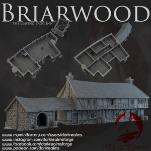 Leaping Frog Inn - Briarwood - Dark Realms Terrain Wargaming D&D DnD