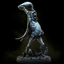 Load image into Gallery viewer, Ratkin Foundlings &amp; Giant Plague Rats | Kin of the Rat