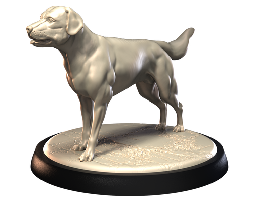 Labrador - Dogs Vol 1 - 3D IP Studios - Terrain Wargaming D&D DnD 28mm 32mm 40mm 54mm 75mm 100mm 125mm