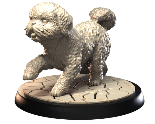 Maltese Bichon - Dogs Vol 1 - 3D IP Studios - Terrain Wargaming D&D DnD 28mm 32mm 40mm 54mm 75mm 100mm 125mm