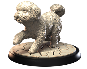 Maltese Bichon - Dogs Vol 1 - 3D IP Studios - Terrain Wargaming D&D DnD 28mm 32mm 40mm 54mm 75mm 100mm 125mm