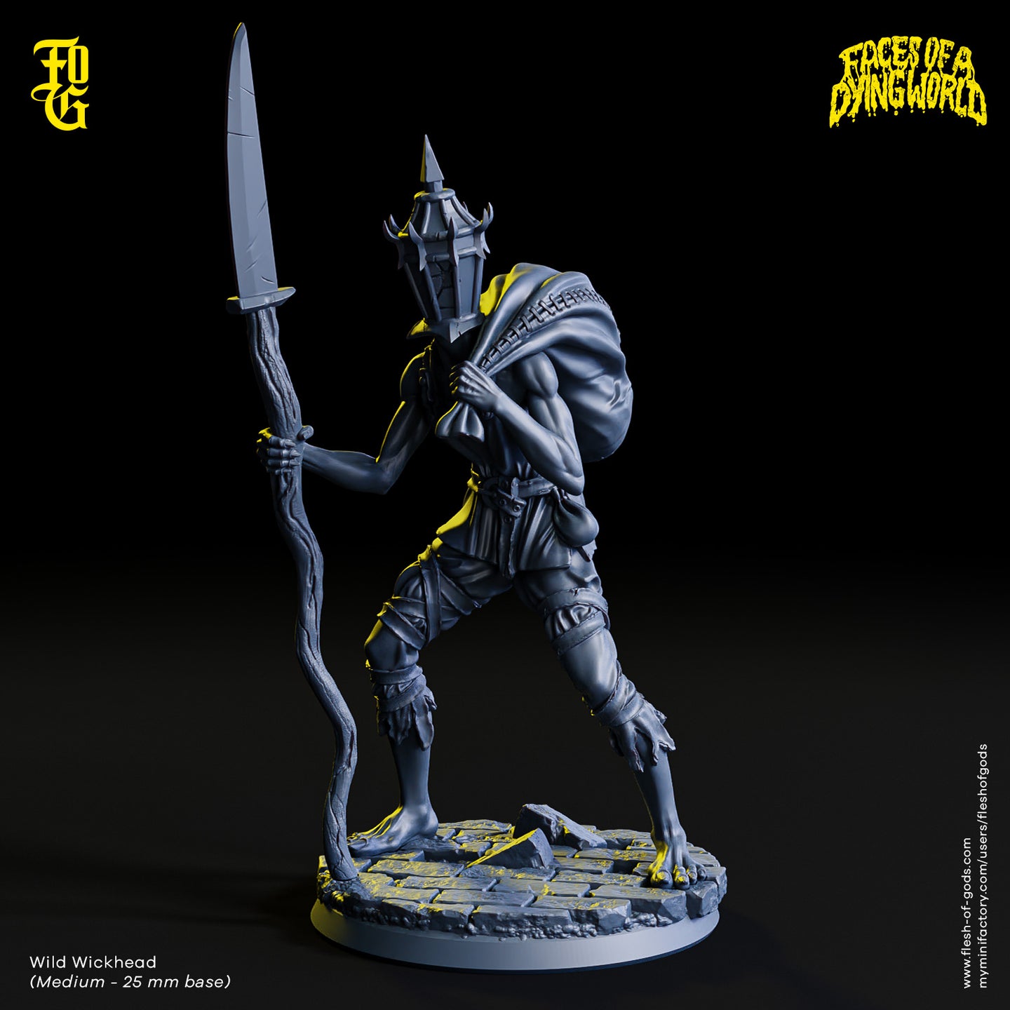 Outcast (Wild Wickhead) - Faces of a Dying World - Flesh of Gods - Wargaming D&D DnD