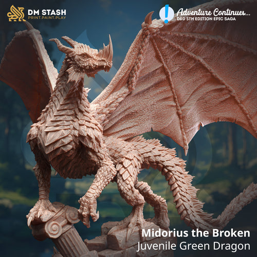Midorius the Broken Juvenile Green Dragon - Adventure Continues - DM Stash - Wargaming D&D DnD, 28mm, 32mm, 40mm, 54mm, 75mm, 100mm, 125mm