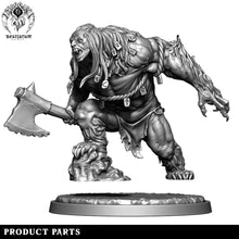 Load image into Gallery viewer, Mindlost Druid | Wrath of the Wild