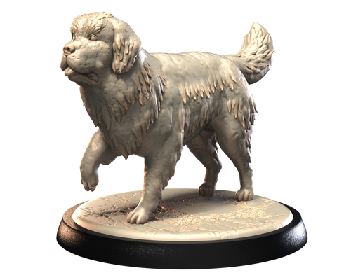 Newfoundlander - Dogs Vol 1 - 3D IP Studios - Terrain Wargaming D&D DnD 28mm 32mm 40mm 54mm 75mm 100mm 125mm