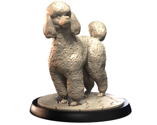 Poodle - Dogs Vol 1 - 3D IP Studios - Terrain Wargaming D&D DnD 28mm 32mm 40mm 54mm 75mm 100mm 125mm