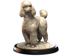 Poodle - Dogs Vol 1 - 3D IP Studios - Terrain Wargaming D&D DnD 28mm 32mm 40mm 54mm 75mm 100mm 125mm