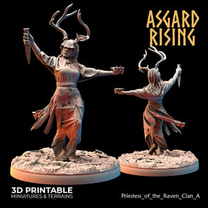 Priestess of the Raven Clan A - Asgard Rising - Wargaming D&D DnD