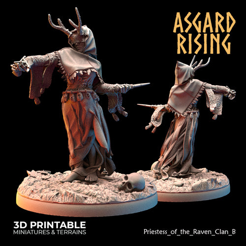Priestess of the Raven Clan B - Asgard Rising - Wargaming D&D DnD