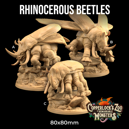 Rhinocerous beetles - Copperlock's Zoo - Dragon Trapper's Lodge Wargaming D&D DnD