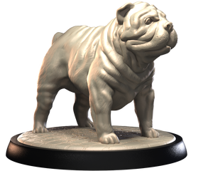 Shar Pei - Dogs Vol 1 - 3D IP Studios - Terrain Wargaming D&D DnD 28mm 32mm 40mm 54mm 75mm 100mm 125mm