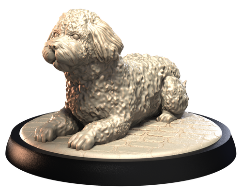 Spanish Water Dog - Dogs Vol 1 - 3D IP Studios - Terrain Wargaming D&D DnD 28mm 32mm 40mm 54mm 75mm 100mm 125mm