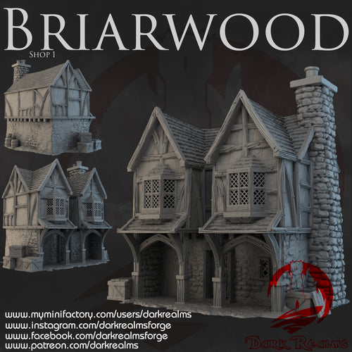 Shop 1 - Briarwood - Dark Realms Terrain Wargaming D&D DnD