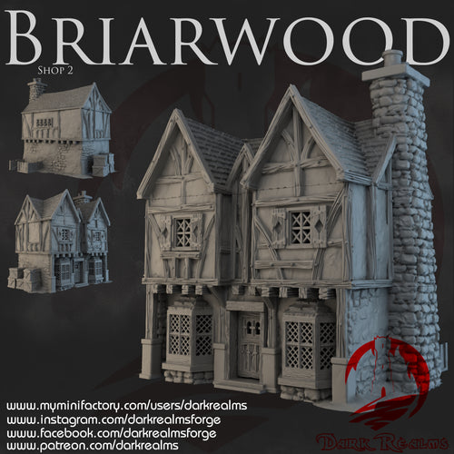 Shop 2 - Briarwood - Dark Realms Terrain Wargaming D&D DnD
